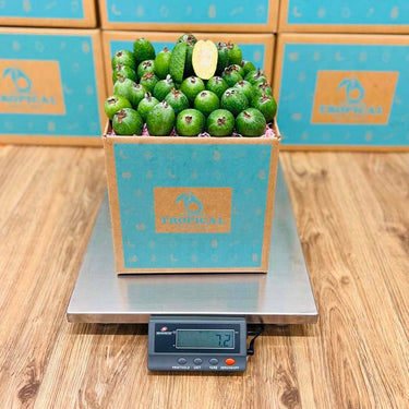 Feijoa Pineapple Guava Box GoogleON Tropical Fruit Box